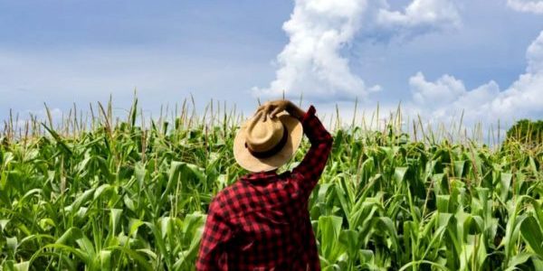 Produtor Rural e Recuperação Judicial