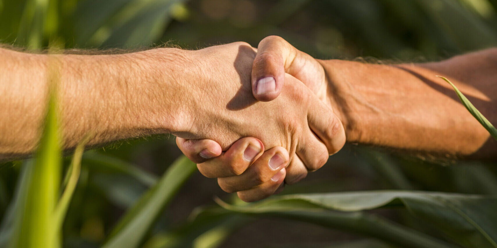 close-up-homem-aperto-de-mao-dia-ensolarado CNJ cria comissão para aperfeiçoar a Recuperação Judicial no agronegócio