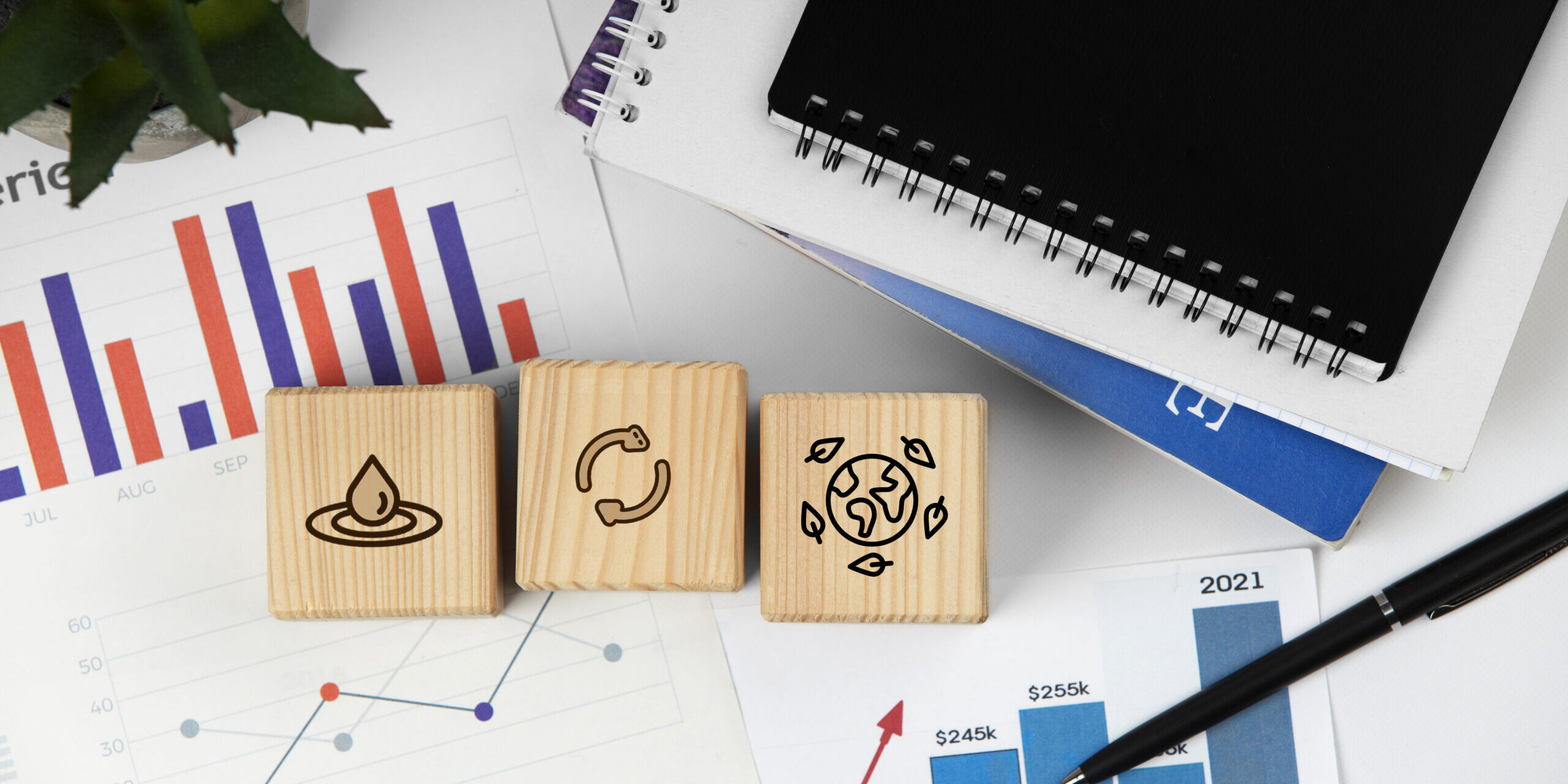 IFRS S1 e S2: o que muda para as empresas brasileiras a partir de 2026?